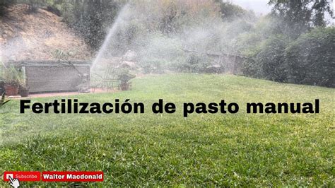 Fertilización de pasto manual 4 24 2023 macdonald socal YouTube