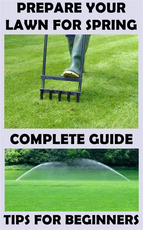 How To Prepare Your Lawn For Spring Lawn Maintenance Spring Lawn