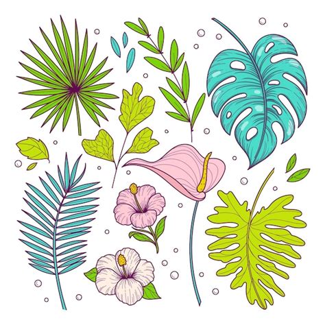 Premium Vector Tropical Collection With Exotic Flowers And Leaves