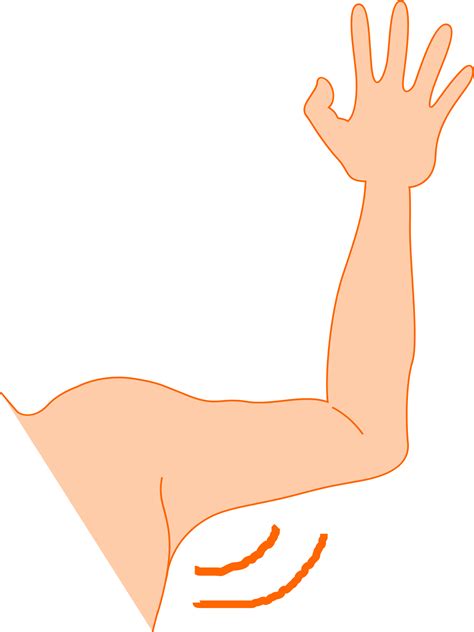 Arm And Hand Clipart Best