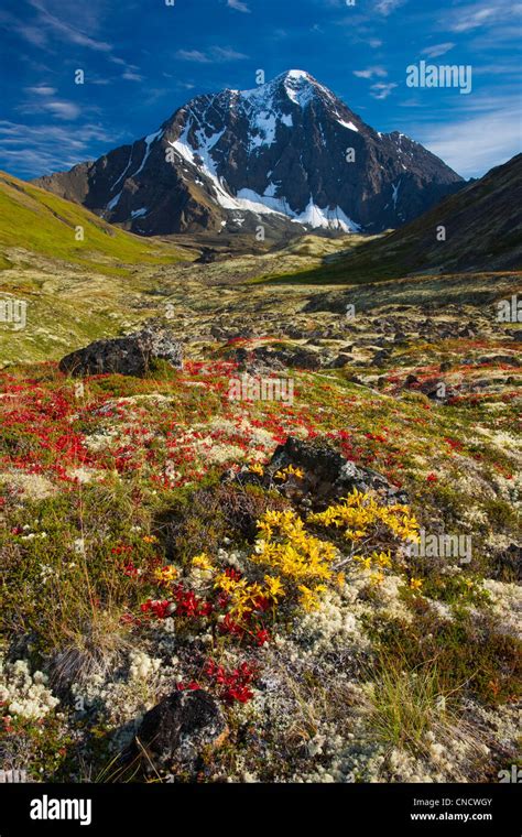 Panoramablick Auf Bold Peak Und Bunten Herbst Tundra Chugach State