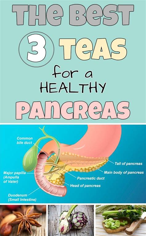 These foods are all formulated for dogs who suffer from health issues, whether that's obesity or pancreatitis, in mind. 77 best Pancreatic Eating images on Pinterest | Health ...
