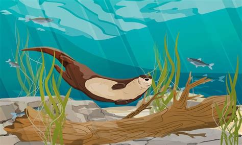 Premium Vector River Otter Swim In The River The Bottom Of The Pond