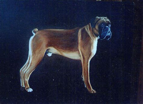 Oil Painting Medic The Background To My Dog Portraits Is