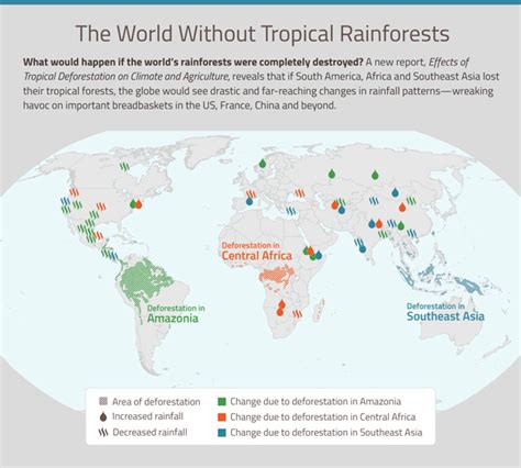 Tropical Deforestation Could Disrupt Rainfall Globally