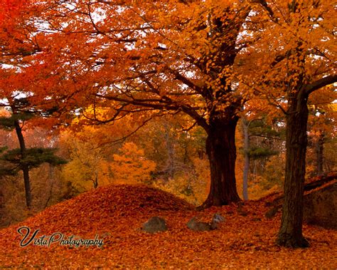 44 New England Fall Foliage Wallpaper Wallpapersafari