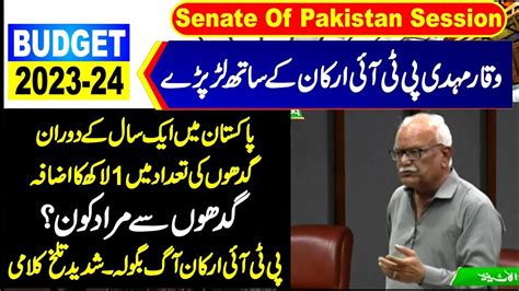ppp waqar mehdi sensational speech in senate of pakistan youtube