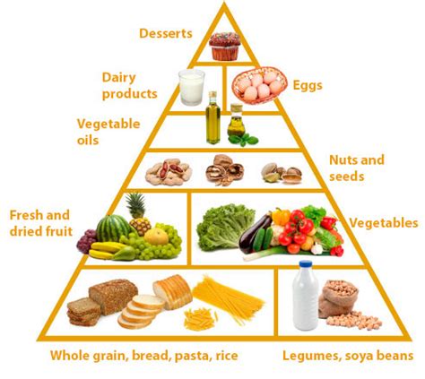 Lacto Ovo Vegetarian Liberal Dictionary