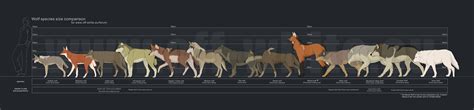 We were unable to load disqus. Wolves | 'Souls Comprehensive Roleplay Guide