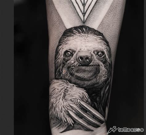 Sloth Tattoo Meaning Designs And Ideas Tattoo Seo