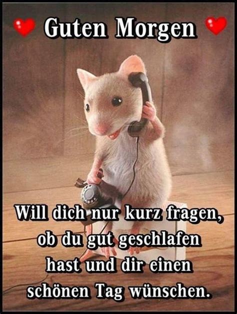 Einen wunderschönen guten morgen bilder. Bilder Guten Morgen kaffee - GBPicsBilder.com