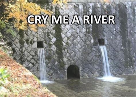 Cry Me A River Meme Subido Por Joegichuhi Memedroid