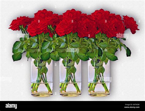 Three Bunches Of Red Roses In Vases Of Glass Stock Photo Alamy