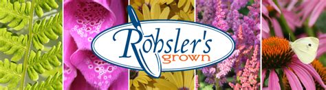 Rohslers Grown Rohslers Allendale Nursery Garden Center