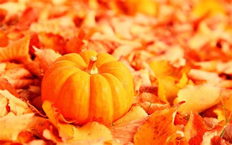 Fall Halloween Wallpapers Top Free Fall Halloween Backgrounds
