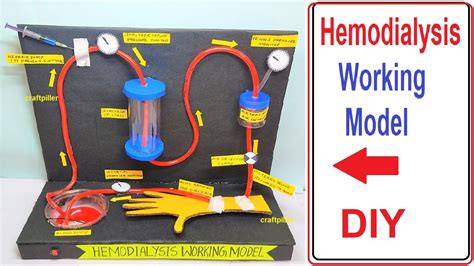 Hemodialysis Working Model Science Project For Exhibition Biology