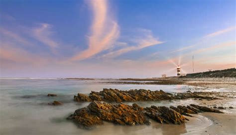 10 Amusingly Irresistible Things To Do In Port Elizabeth