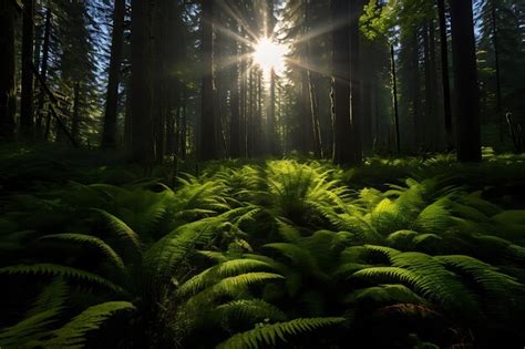 Premium Ai Image Photo Of Sunlight Filtering Through Ferncovered Trees