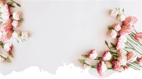 Maybe you would like to learn more about one of these? Preserved Flowers Wholesale Usa - Preserved Flowers ...