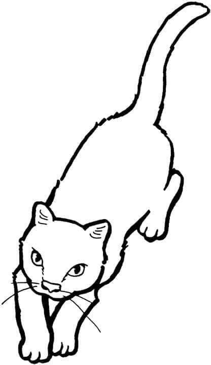 Desenhos De Um Gato Para Colorir E Imprimir ColorirOnline Com