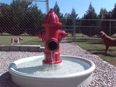Dog E Dog World The New Fire Hydrant Water Fountain