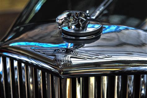 Jaguar Logo Desktop Wallpapers - Wallpaper Cave