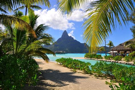 HD Wallpaper Bora Bora Resort Beach French Polynesia Mountain Palm Trees Sea Summer Tropical