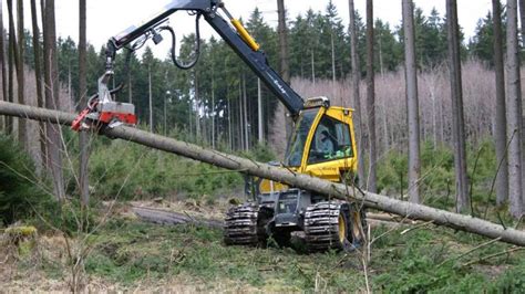 Kurzerhand versuchten die 25 und 27 jahre alten männer deshalb mit einer handsäge, den baum zu fällen. Harvester im Einsatz: Baumfällen im Minutentakt | Bockhorn