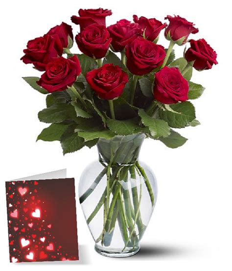 One Dozen Long Stem Red Roses Make Them Feel Special