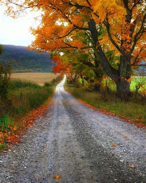 The Long Dirt Road Autumn Scenery Landscape Photos Country Roads