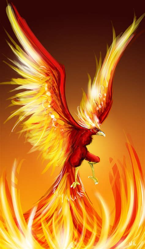 30 Great Phoenix Illustration Artworks Naldz Graphics