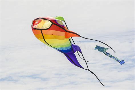 It was played on outdoor hard courts in adelaide, australia. Vliegende Vliegers In Adelaide International Kite Festival ...