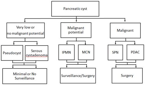 Algorithm For The Management Of Pancreatic Cysts Download Scientific