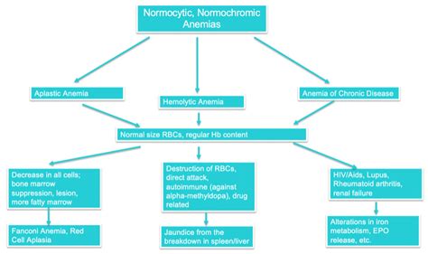 Understanding The Types Of Anemia Nursing Ceu Nursing Ce Central