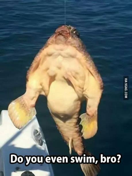 Strong Fish Meme Funny Pictures Fish Funny Memes