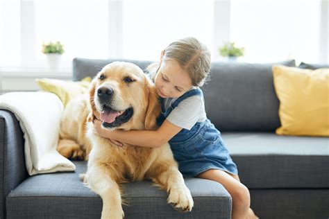 Here Are The Best Pets For Kids According To A Vet Moshi