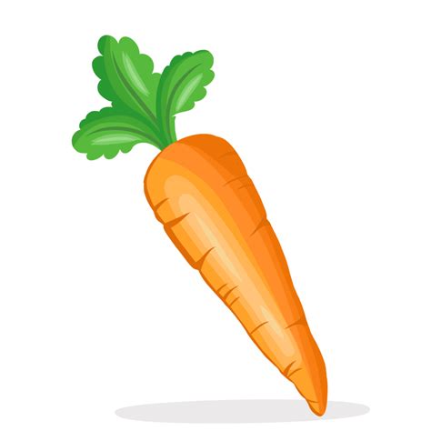 Fresh Single Carrot Vegetable Illustration 14322784 Png