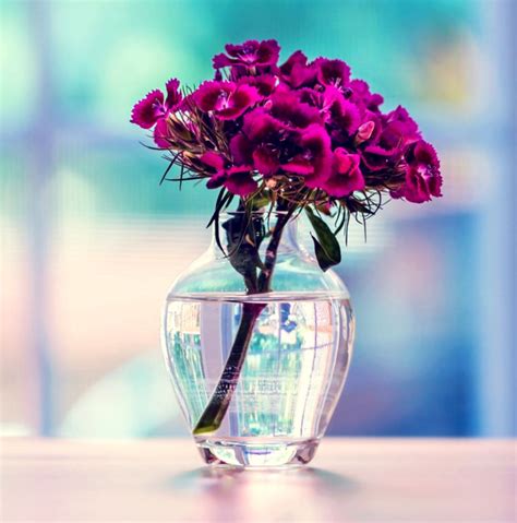 Purple Flowers Bouquet In Vase Background Wallpaper Lock Screen