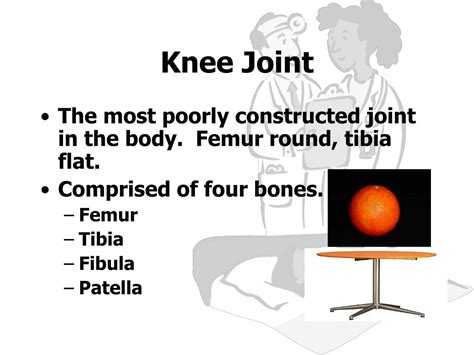 Ppt Knee Anatomy Powerpoint Presentation Free Download Id1227045
