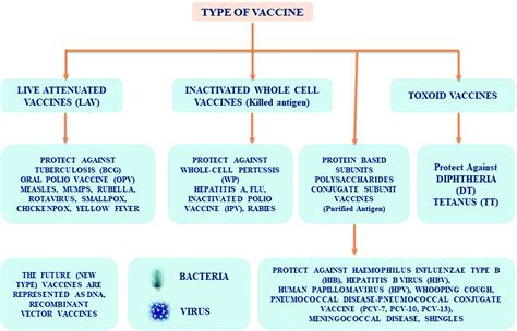 A comprehensive overview of vaccines developed for pandemic viral