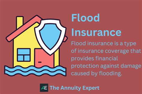 Flood Insurance Everything You Need To Know 2023
