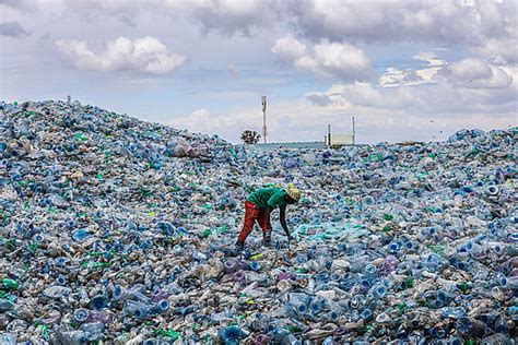 First Pet Bottle To Bottle Recycling Line In Kenya Starlinger