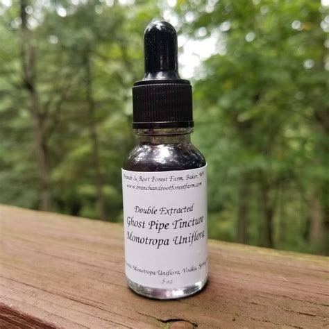 Ghost Pipe Tincture Monotropa Uniflora Indian Pipe Double Etsy