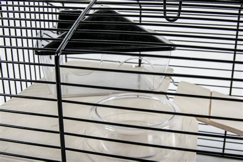 Cage Pour Gerbille Et Petit Rongeur 52 à 71 Cm Neo Panas Et Neo