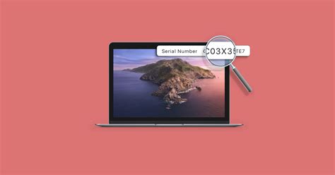 How To Easily Find Your Mac Serial Number Setapp