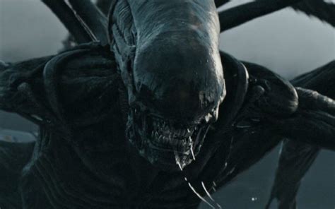 Alien Romulus La Nueva Película De La Saga Alien Empieza Su