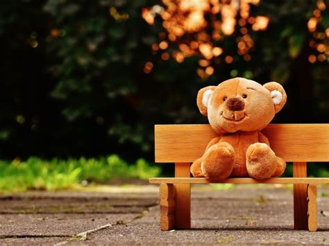 Медвежонок Тедди сидит на деревянной лавке обои для рабочего стола