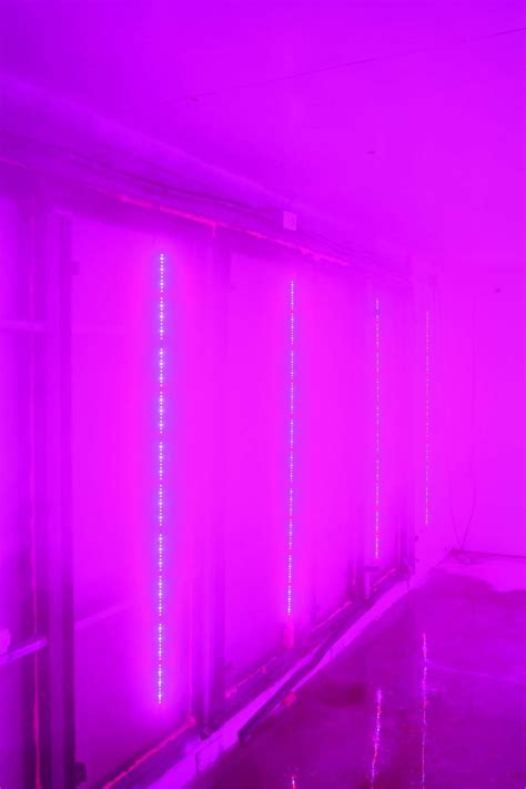 There are numerous types of cultivation lights. Philips And Green Sense Farms Tailor LED Grow Lights To ...