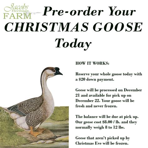 Bringing Back Tradition The Christmas Goose Jacobs Heritage Farm