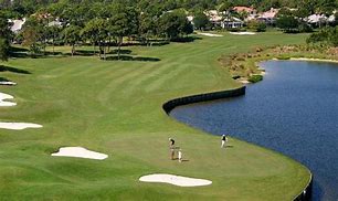 Image result for florida golf